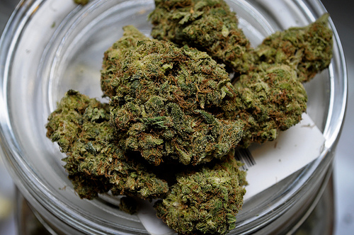 Knowing The Legalization Of Medical Marijuana | Medical Marijuana